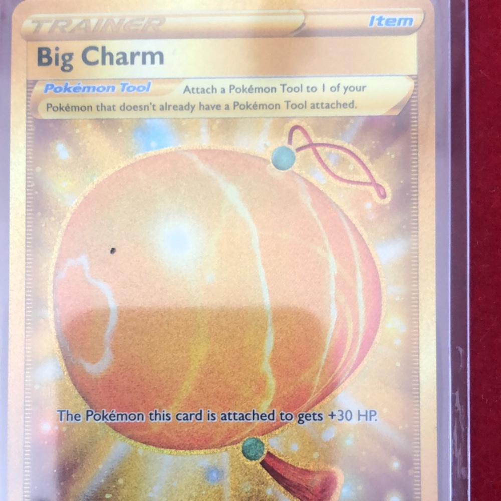 Trainer - Picture 5 of 9